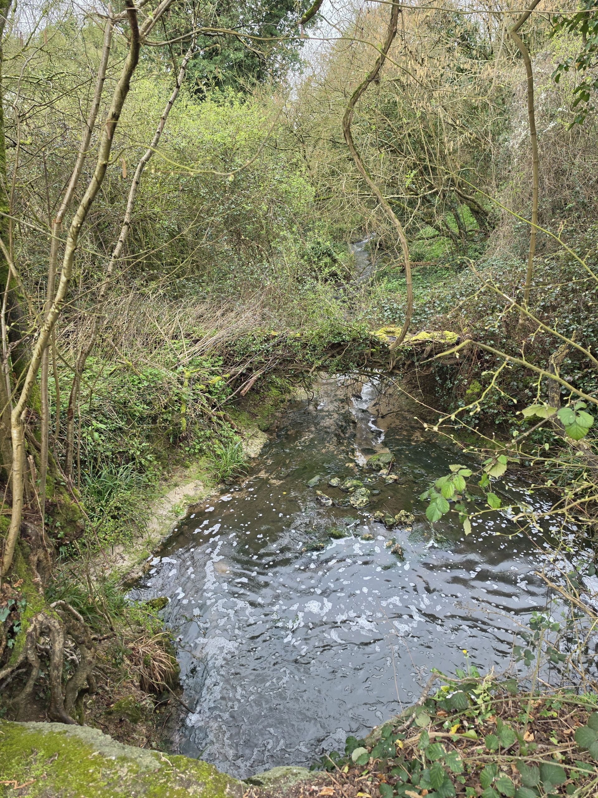 Sewerage outfall